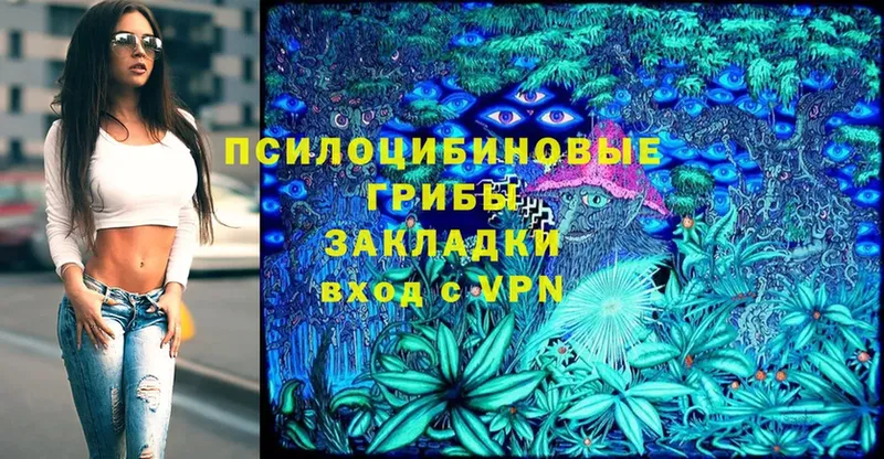 Галлюциногенные грибы Cubensis  Орехово-Зуево 