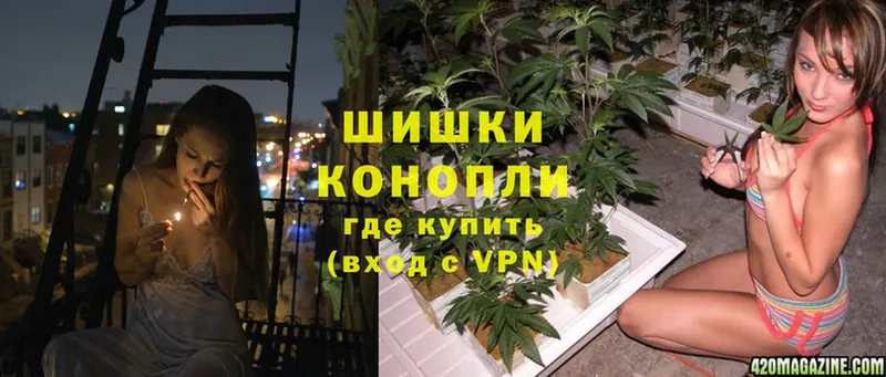 mega как зайти  купить  сайты  Орехово-Зуево  МАРИХУАНА White Widow 